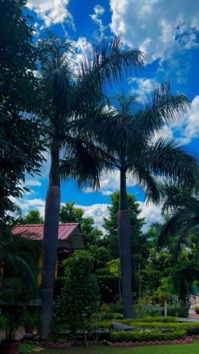 two palm trees in front of a building at Amritvan Farms in Noida