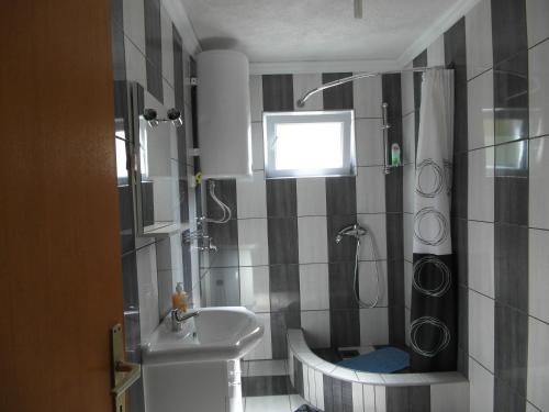 Kúpeľňa v ubytovaní Apartment Tina Gračac