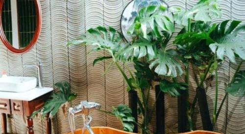 two palm trees in a bathroom with a mirror at Jun's Home in Buon Ma Thuot