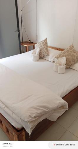Giường trong phòng chung tại Mimosa Backpackers Hostel
