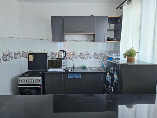 Cozy Breeze Apartment في مومباسا: مطبخ مع موقد ومغسلة