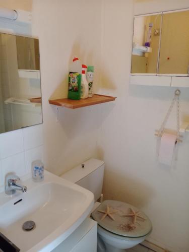a bathroom with a white toilet and a sink at studio cabine avec loggia Cap d Agde in Cap d'Agde
