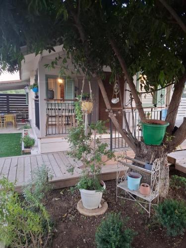a garden with a bench and a tree at הבקתה של רינת in Me‘ona