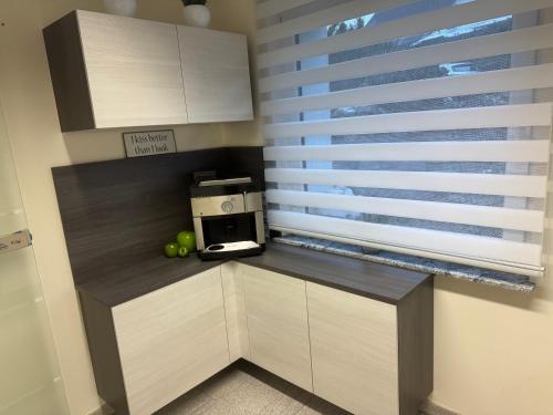 Kaja 2, Ferienwohnung mit eigener Saunaにあるキッチンまたは簡易キッチン