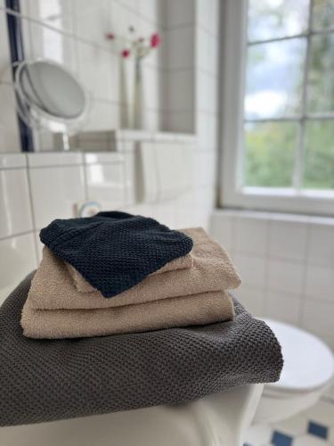 a pile of towels sitting on a counter in a bathroom at Landhaus am See Flecken Zechlin in Rheinsberg