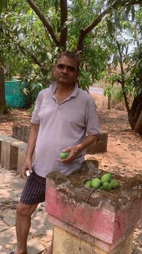 a man standing next to a pile of green fruit at Tripathi Villa in Murbād