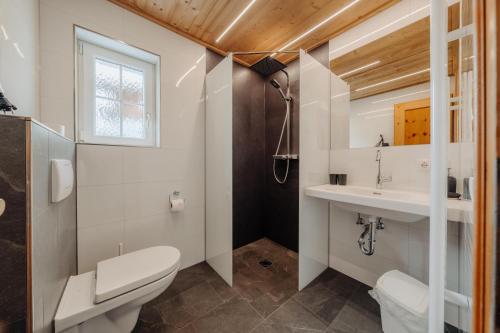 a bathroom with a toilet and a sink at Appartment Ganahl in Gaschurn