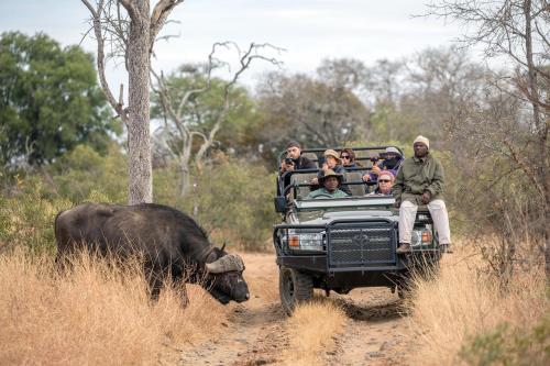 a group of people riding in the back of a safari truck with an elephant at Karongwe - River Safari Lodge in Hoedspruit