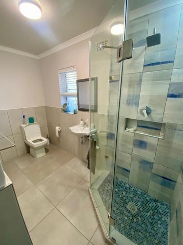 a bathroom with a shower and a toilet and a sink at Garden flat Durbanville - with Office, WiFi and secure gated parking in Eversdal