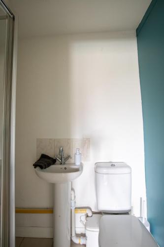 a bathroom with a toilet and a sink at 40 Percent Off Monthly, Large House, Free Parking in Sheldon