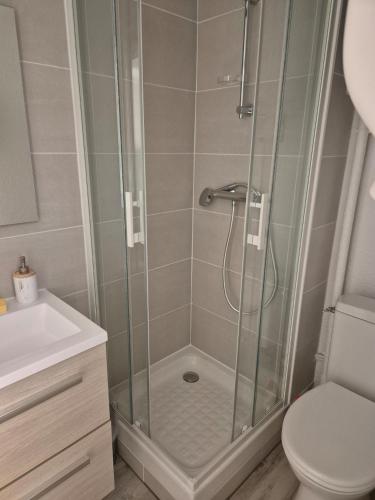 a bathroom with a shower with a toilet and a sink at Studio cabine Les Angles - Soleil et Montagne in Les Angles