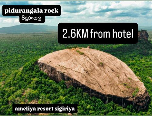 a large rock in the middle of a field at Amelia Resort in Sigiriya