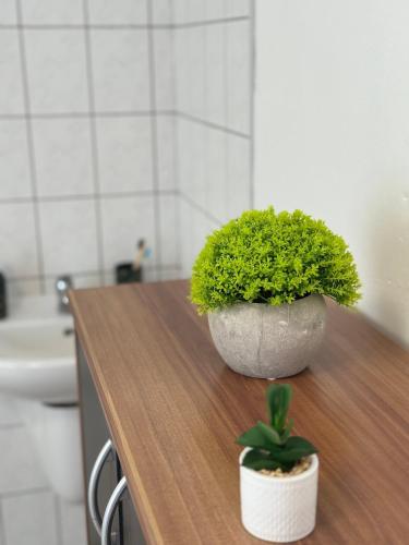 two potted plants sitting on a counter in a bathroom at Marianna Apartman in Szentgotthárd