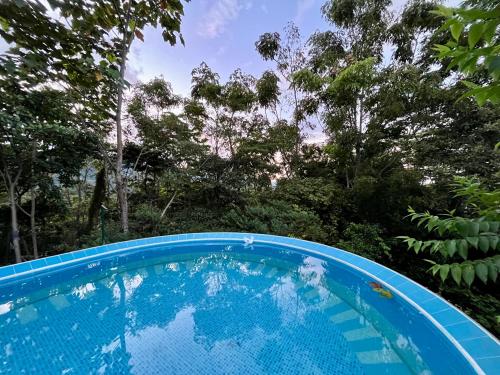 Kolam renang di atau dekat dengan Jardín Secreto