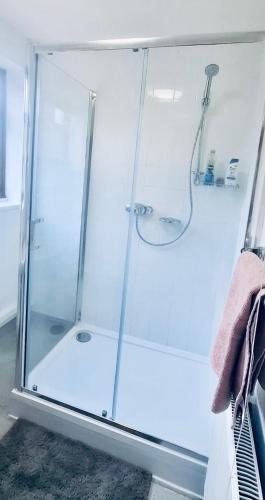 a shower with a glass door in a bathroom at Andover Garden Bungalow in Penton Mewsey