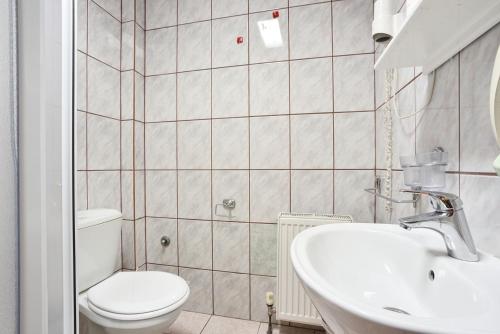 a bathroom with a toilet and a sink at Vila Mina in Zlatibor