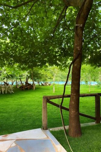 a tree with a rope tied to a bench in a park at Bujtina Liqeni i Shkopetit in Madhesh