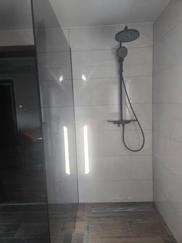 Ένα μπάνιο στο Apartmaji Beli Jelen