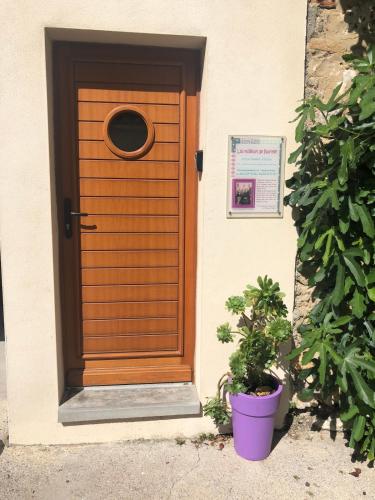 a wooden door on a house with two potted plants at La Maison de Noémie in Leucate
