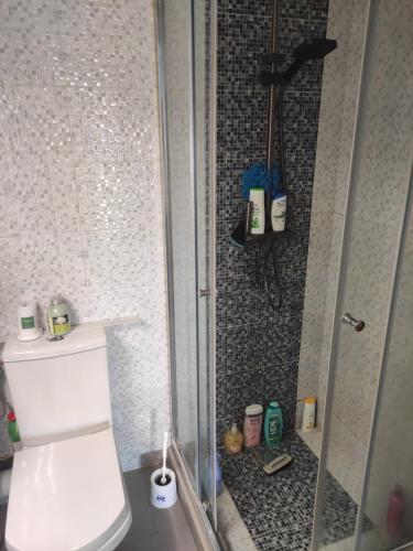 a bathroom with a shower and a toilet in it at Mansbay Beach Dalia in Mohammedia