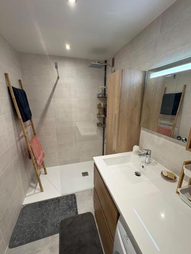 a bathroom with a sink and a shower at Entre Lac, Fleurs et Montagnes in Thonon-les-Bains