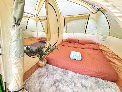 Katil atau katil-katil dalam bilik di View Khao Camping - วิวเขาแคมป์ปิ้ง เขาค้อ