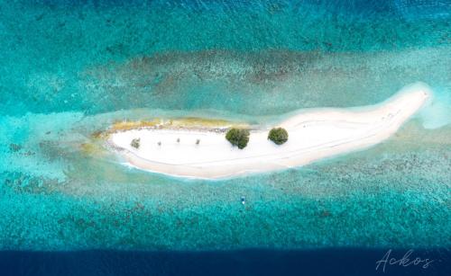 Fotografie z fotogalerie ubytování SeaLaVie Inn v destinaci Ukulhas