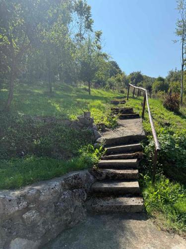 a set of stone steps on a grassy hill at Šumski mir in Despotovac