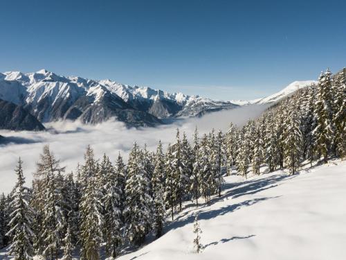 un groupe d'arbres dans la neige avec des montagnes dans l'établissement Chalet in Neukirchen by Wildkogel Ski Slopes, à Neukirchen am Großvenediger