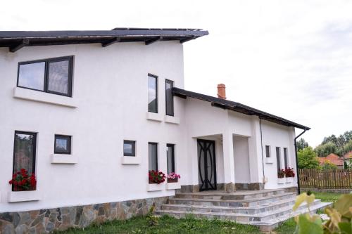 a white house with black windows at Casa de la Tara in Costeşti-Vîlsan