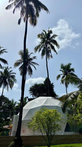 a white tent in front of palm trees at Indulge House in Revora