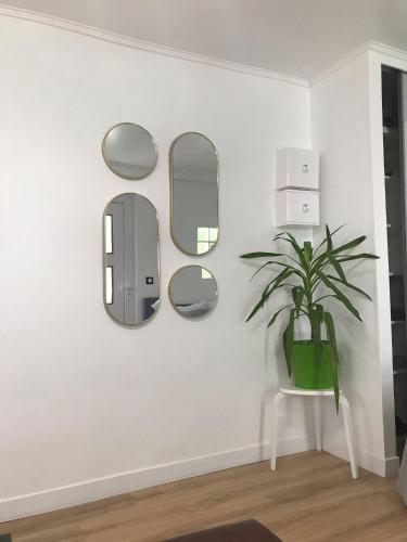 a room with three mirrors and a potted plant at Charmant Studio indépendant in Louvres