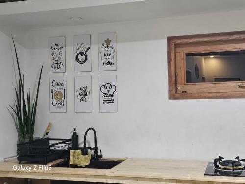 Кухня или мини-кухня в Erigeron homestay dieng

