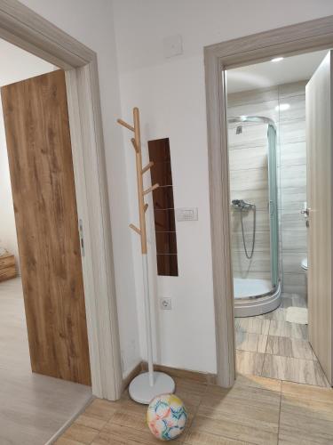 a bathroom with a shower and a ball on the floor at Bili 3 in Paraćin