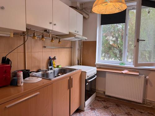 eine Küche mit einer Spüle, einem Herd und einem Fenster in der Unterkunft Centru Vechi Craiova in Craiova