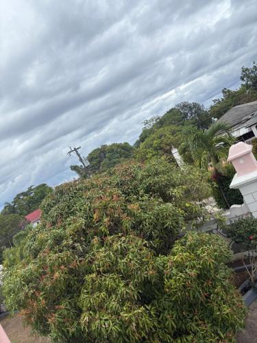 a bush with a cross on top of a hill at Blissful Oasis by Castle Adora in Tower Isle