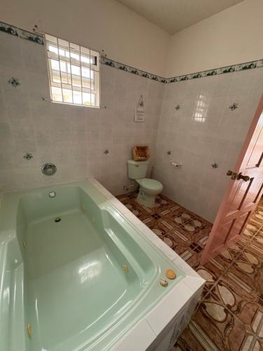 a bathroom with a green tub and a toilet at Blissful Oasis by Castle Adora in Tower Isle