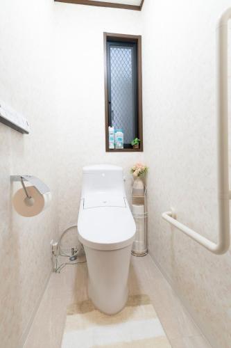 a white toilet in a bathroom with a mirror at 松島雅居 in Tokyo