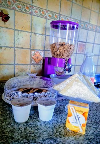 a kitchen counter with a blender with food in it at B&B Camera delle Camelie in Palestrina
