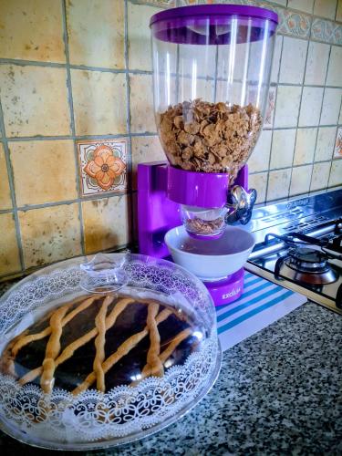 a kitchen counter with a blender filled with food at B&B Camera delle Camelie in Palestrina