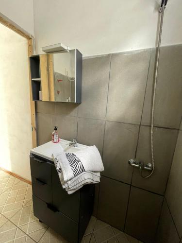 Koupelna v ubytování Alojamiento EYO en Chuy con baño privado