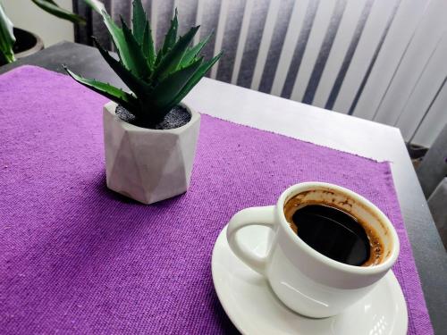a cup of coffee and a potted plant on a table at Apartman Kladovo in Kladovo
