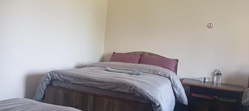 Postel nebo postele na pokoji v ubytování Hotel Himalayan vista