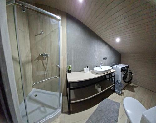 a bathroom with a shower and a sink and a toilet at Lucy in Yaremche