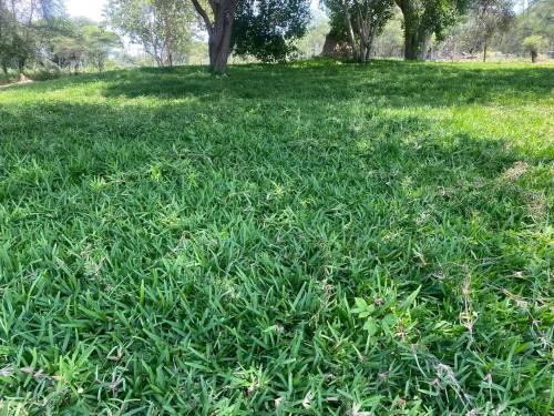 Fotografie z fotogalerie ubytování Atoma Lodge v destinaci Shakawe