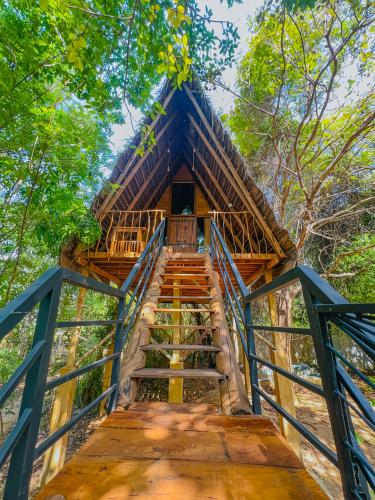a staircase leading up to a tree house in the forest at Habarana Tree House Ambasewana Resort in Habarana