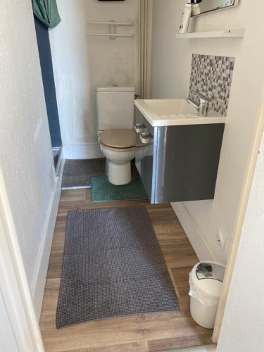 a small bathroom with a toilet and a sink at Le Studio d'en O, au coeur de la ville haute in Pornic