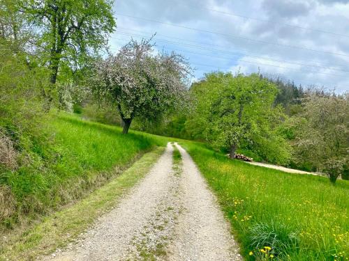a dirt road in the middle of a field at Ferienwohnung Schwalbennest in Radolfzell am Bodensee