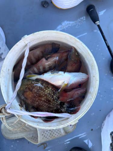 ホテルの敷地内または近くでの食事または食べ物