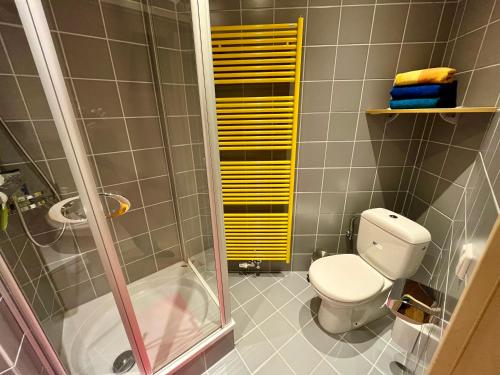 a small bathroom with a toilet and a shower at Ferienwohnung Schwalbennest in Radolfzell am Bodensee